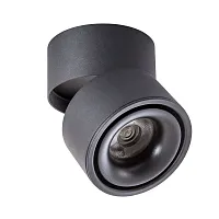 Светильник накладной ЛЕД Арктурус (Arcturus) A7715PL-1BK Arte Lamp Светильник накладной ЛЕД Арктурус (Arcturus) A7715PL-1BK Arte Lamp